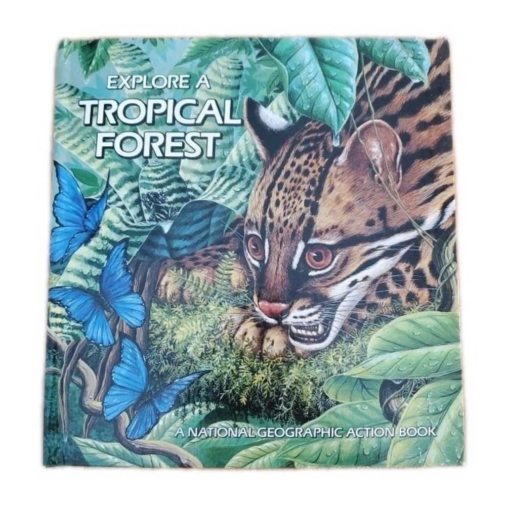Pop-Up: Explore a‎ Tropical Forest by Peggy D. Winston (1989, Hardcover Vintage)
